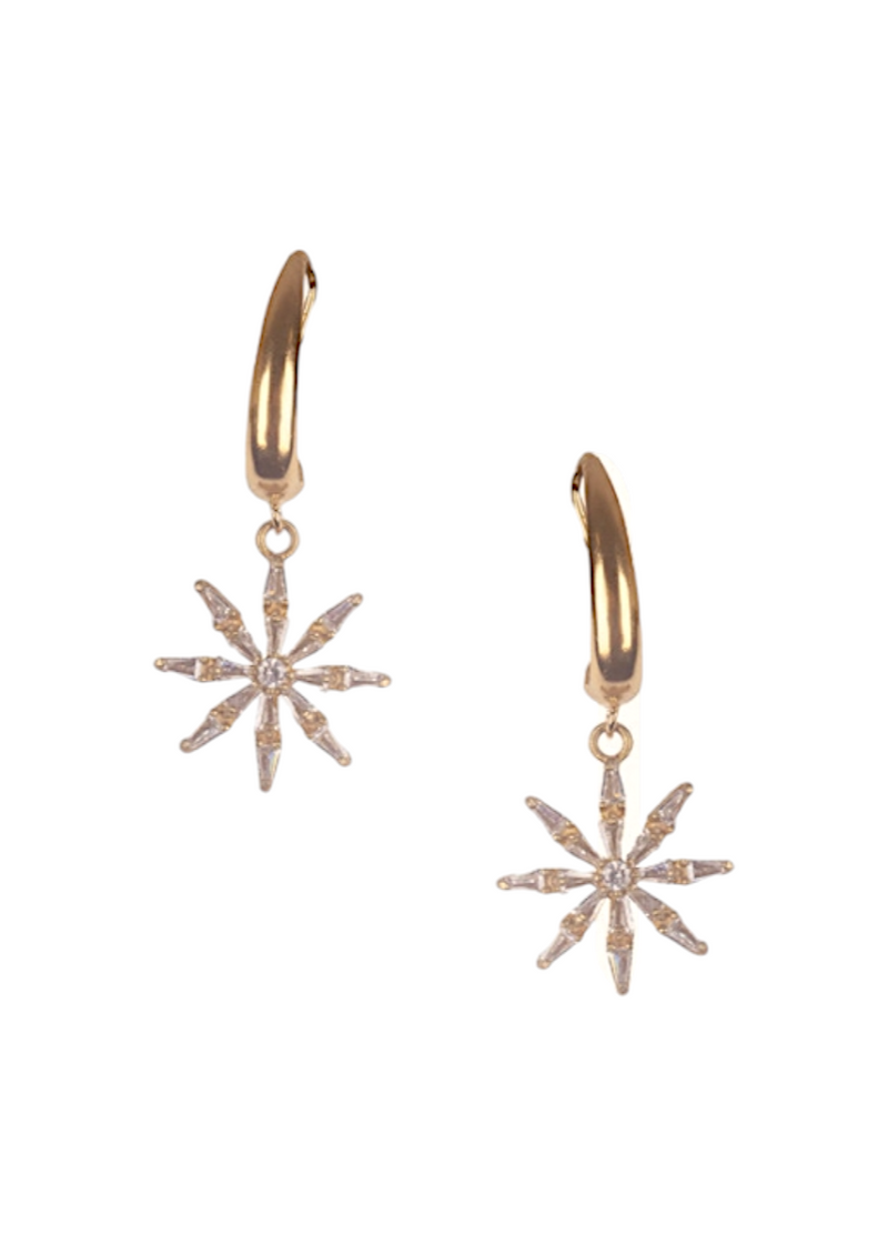 Bronze crystal star hook earrings