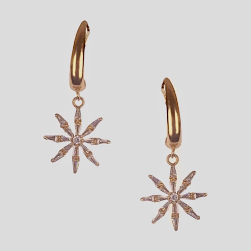 Bronze crystal star hook earrings