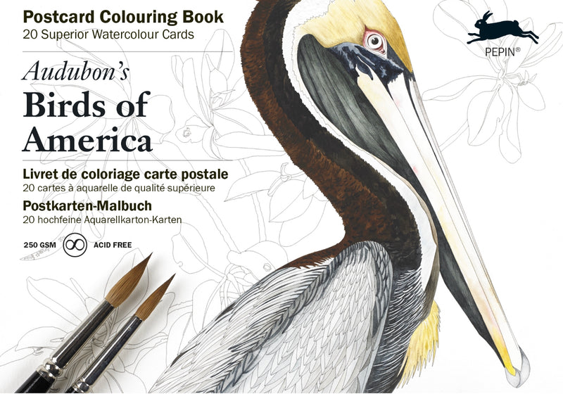 Postcard Colouring Book - Birds of America
