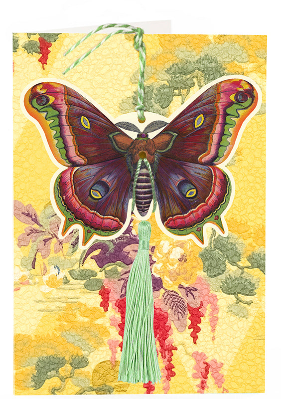 Articulated Butterfly Flutter By Card
