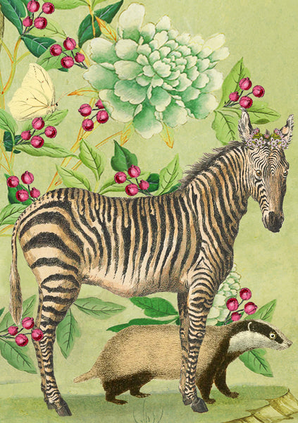 Zebra and His Friend Badger