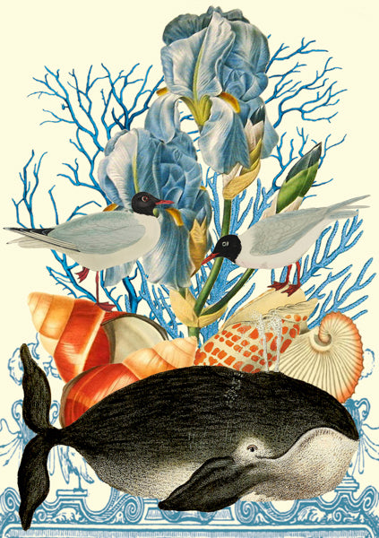 The Happy Whale - Blank Card