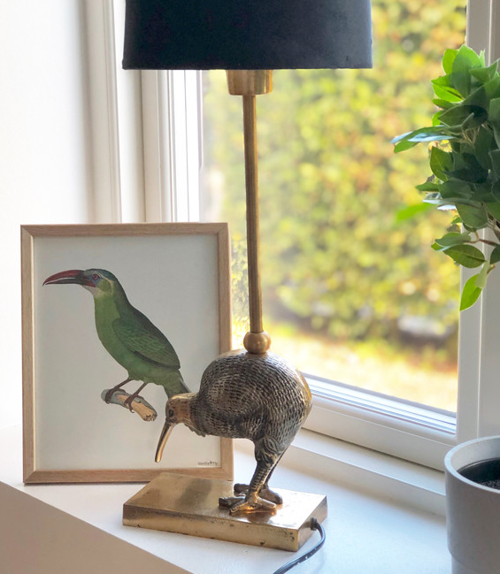 Kiwi Bird Lamp with Black Shade