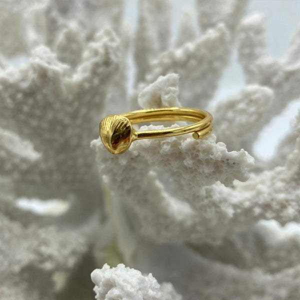 Clam shell deals ring
