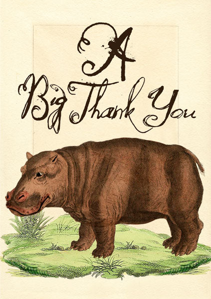 Hippopotamus