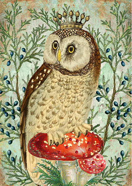 Owl & Crown