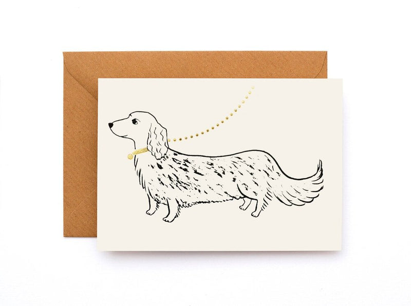 Dachshund