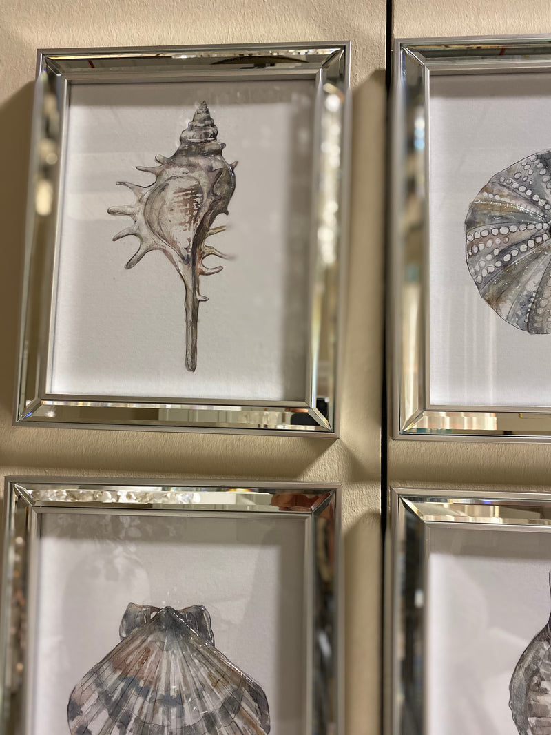 Set of 4 Mirror Framed Shell Prints
