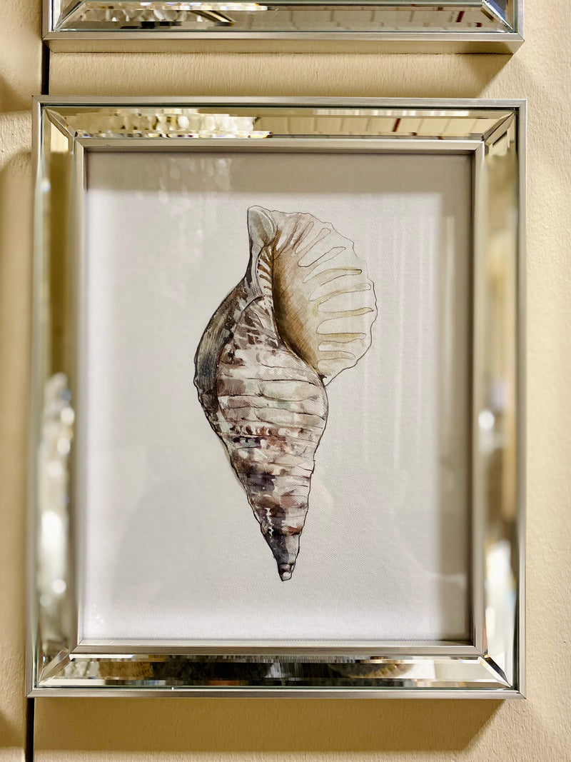 Set of 4 Mirror Framed Shell Prints