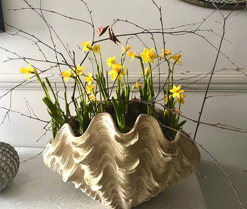 Extra Large Shell Vase