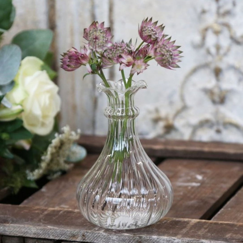 Glass Shaped Bud Vases (SMALL)